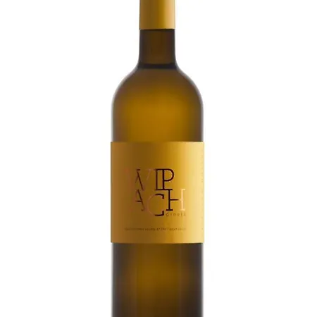 Koren At Winery Гостевой дом Випава