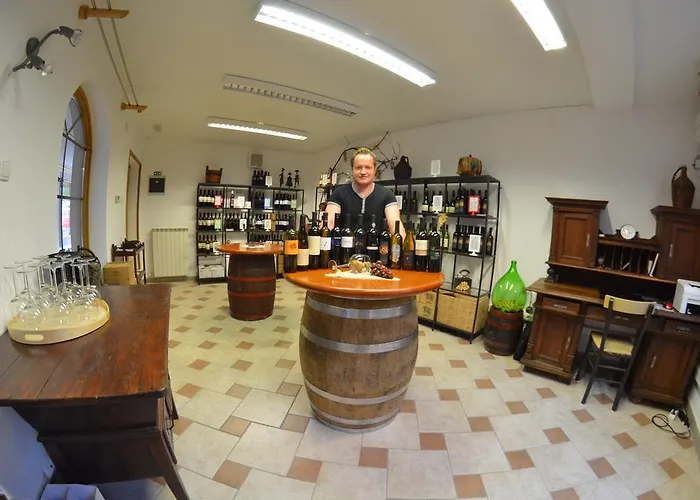 Koren At Winery Vipava