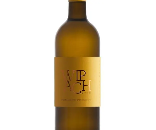 Koren At Winery Hiša za goste Vipava